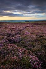 nidderdale from high crag ridge iv.jpg